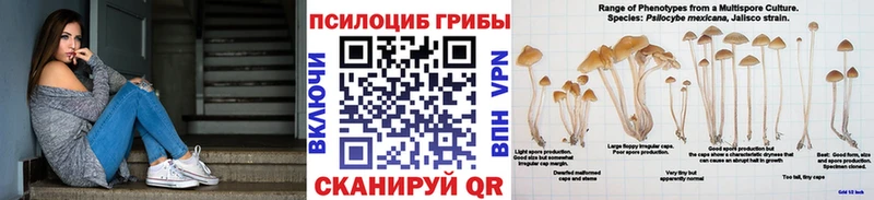 магазин продажи   omg рабочий сайт  Псилоцибиновые грибы Cubensis  Богданович 