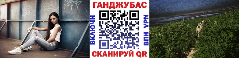 Марихуана план  Богданович 